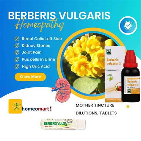 berberis vulgaris homeopathic treatment